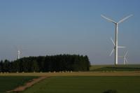 Windmills on the side of the road in Belgium