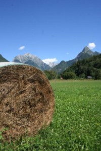 Hike in the Soca Valley in the Julian Alps